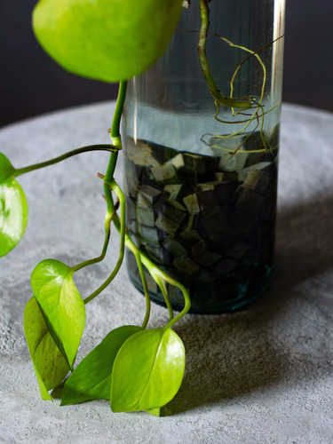 Sabay Cement Concrete Vase